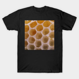 honeycomb T-Shirt